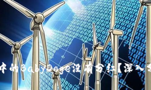 为什么我的TP钱包中的BabyDoge没有分红？深入分析原因与解决方案