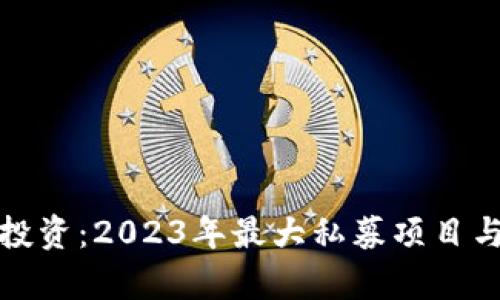 加密货币私募投资:2023年最大私募项目与未来趋势分析