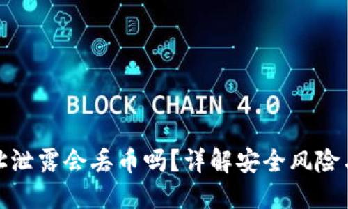 TP钱包地址泄露会丢币吗？详解安全风险与防护措施