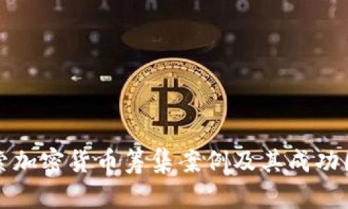 探索加密货币筹集案例及其成功因素