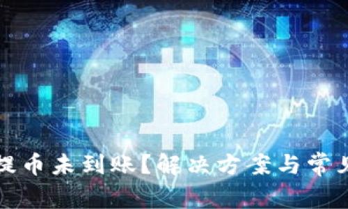 : TP钱包提币未到账?解决方案与常见问题解析