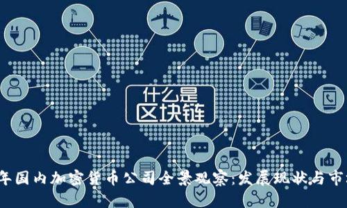 2023年国内加密货币公司全景观察:发展现状与市场前景