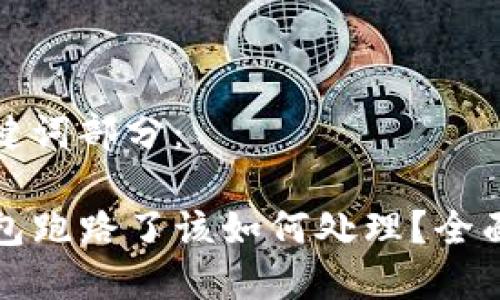 和关键词部分:
TP钱包跑路了该如何处理?全面指南