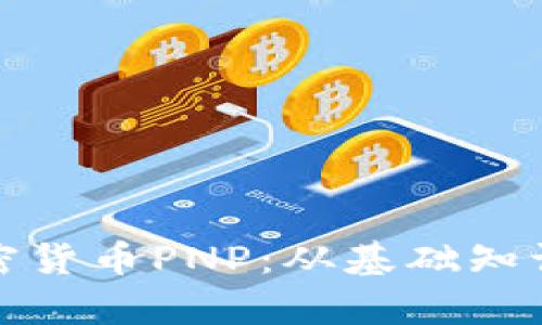 全面解析加密货币PNP:从基础知识到投资策略