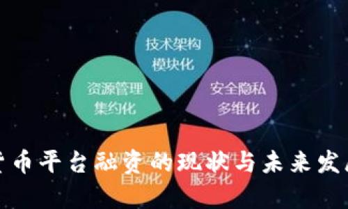 加密货币平台融资的现状与未来发展分析