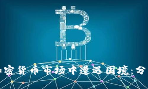 穷人如何在加密货币市场中遭遇困境：分析与应对策略