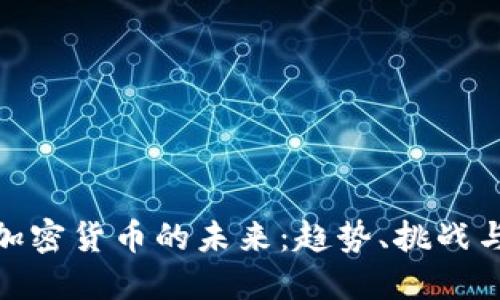 央行加密货币的未来：趋势、挑战与机遇