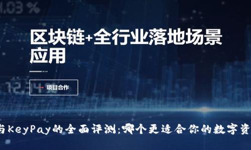 TP钱包与KeyPay的全面评测:哪个更适合你的数字资产管理?