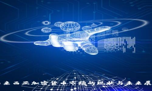 马来西亚加密货币市场的现状与未来展望
