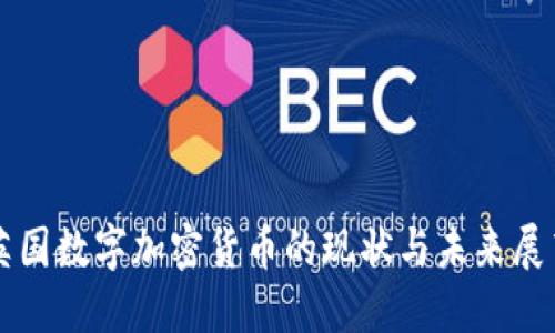 英国数字加密货币的现状与未来展望