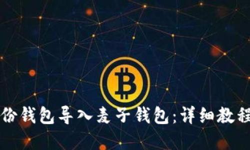如何将TP身份钱包导入麦子钱包：详细教程与实用技巧