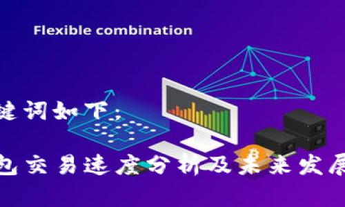 和关键词如下：

TP钱包交易速度分析及未来发展趋势