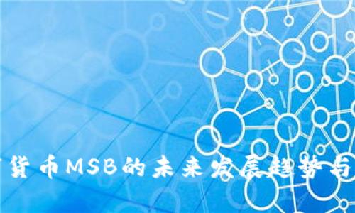 加密数字货币MSB的未来发展趋势与挑战分析