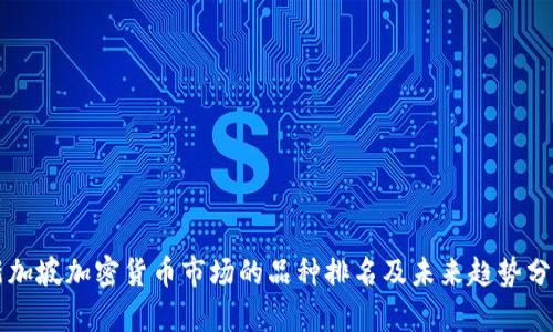 新加坡加密货币市场的品种排名及未来趋势分析