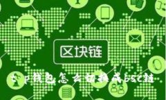 t p钱包怎么切换成bsc链