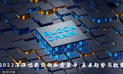 main
    2023年涨幅最高的加密货币：未来趋势与投资机会