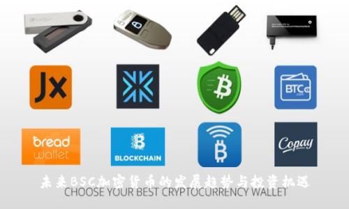 未来BSC加密货币的发展趋势与投资机遇