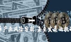 加密货币产业风险分析：