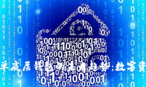 : TP身份钱包与单底层钱包的未来趋势：数字资产管理的新时代