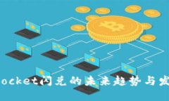 TokenPocket闪兑的未来趋势与