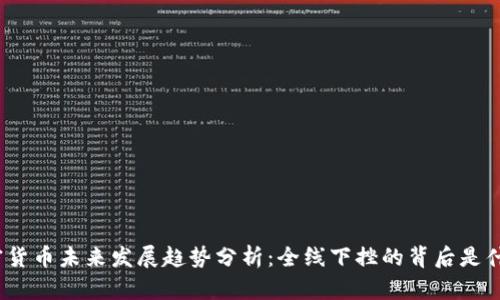 加密货币未来发展趋势分析：全线下挫的背后是什么？