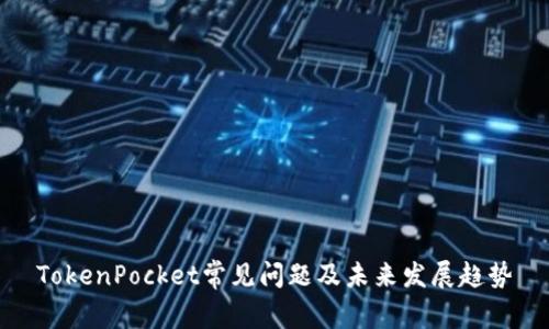TokenPocket常见问题及未来发展趋势