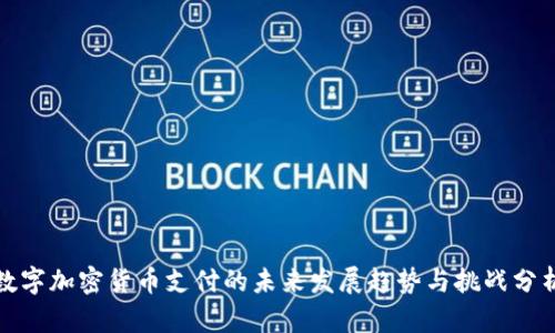 数字加密货币支付的未来发展趋势与挑战分析