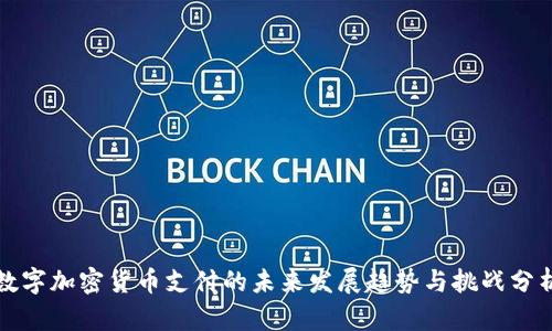 数字加密货币支付的未来发展趋势与挑战分析