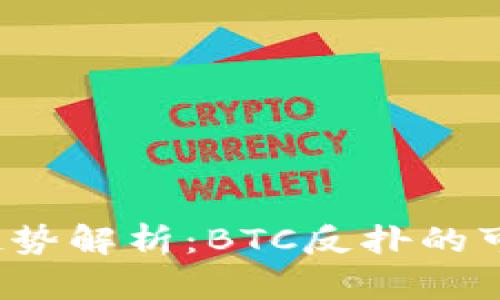 2024年比特币趋势解析：BTC反扑的可能性与未来展望