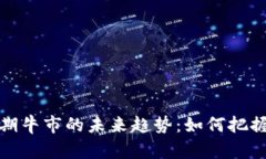 加密货币长期牛市的未来