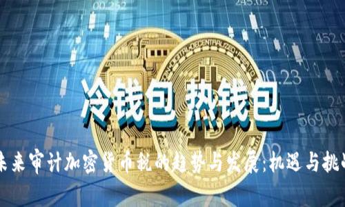 未来审计加密货币税的趋势与发展：机遇与挑战
