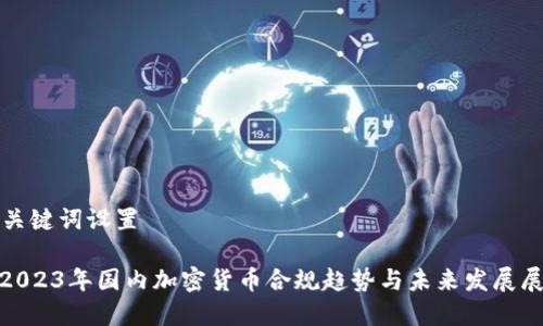 和关键词设置

: 2023年国内加密货币合规趋势与未来发展展望