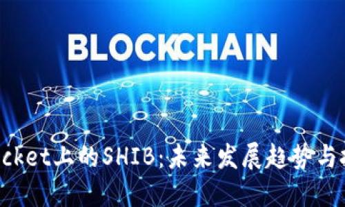 TokenPocket上的SHIB：未来发展趋势与投资策略