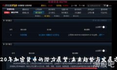 2020年加密货币的潜力展望