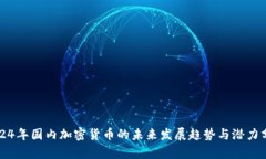 2024年国内加密货币的未来