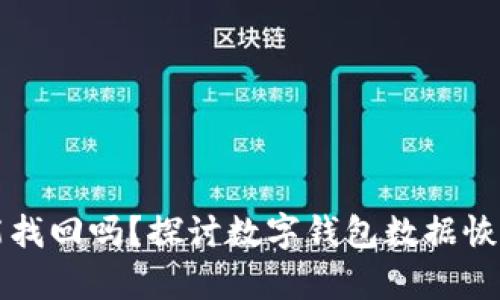 TP钱包已删除能找回吗？探讨数字钱包数据恢复的现状与未来
