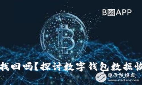 TP钱包已删除能找回吗？探讨数字钱包数据恢复的现状与未来