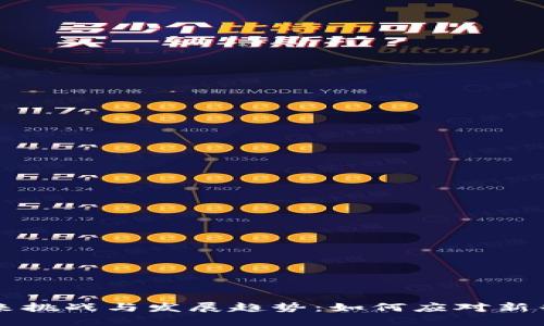 非洲加密货币的未来挑战与发展趋势：如何应对新兴市场的机遇与挑战