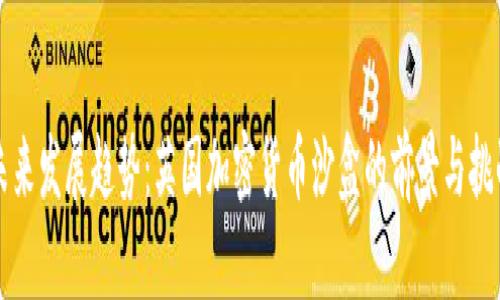 未来发展趋势：英国加密货币沙盒的前景与挑战