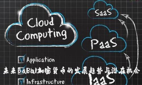 未来Babal加密货币的发展趋势与潜在机会