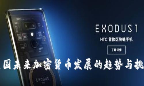 美国未来加密货币发展的趋势与挑战