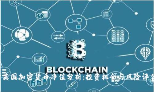  英国加密货币净值分析：投资机会与风险评估