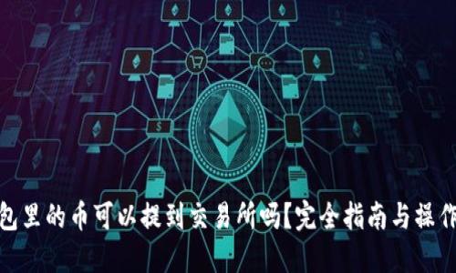 TP钱包里的币可以提到交易所吗？完全指南与操作步骤