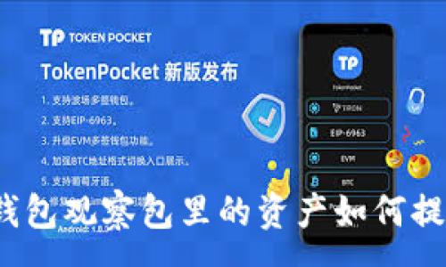 :
TP钱包观察包里的资产如何提现？