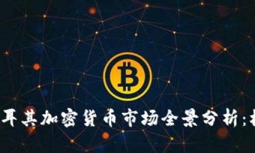 2023年土耳其加密货币市场全景分析：机遇与挑战