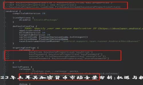 2023年土耳其加密货币市场全景分析：机遇与挑战