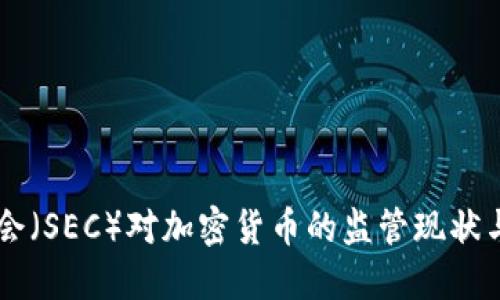 美国证监会（SEC）对加密货币的监管现状与未来展望