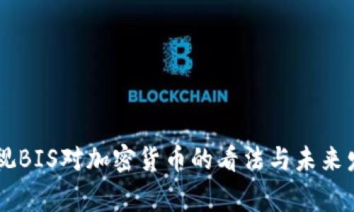 重新审视BIS对加密货币的看法与未来发展展望