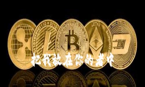 把我放在你的者中