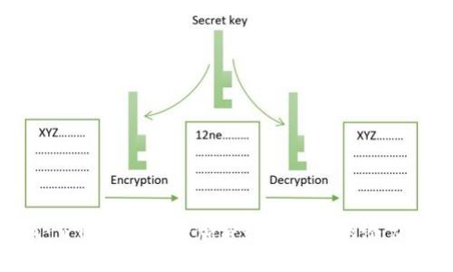 SGC币：了解这款新兴加密数字货币的潜力与未来
